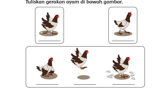 Tuliskan Gerakan Ayam di Bawah Gambar! Kunci Jawaban Tema 6 Kelas 1 Halaman 121