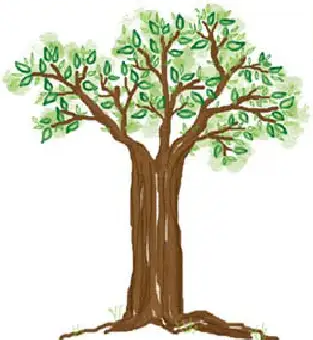 Tree Test (foto: academia.edu)